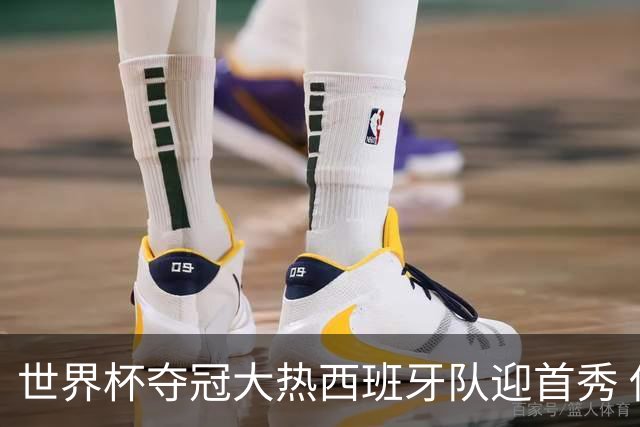 世界杯夺冠大热西班牙队迎首秀 伊朗队入境美国参赛